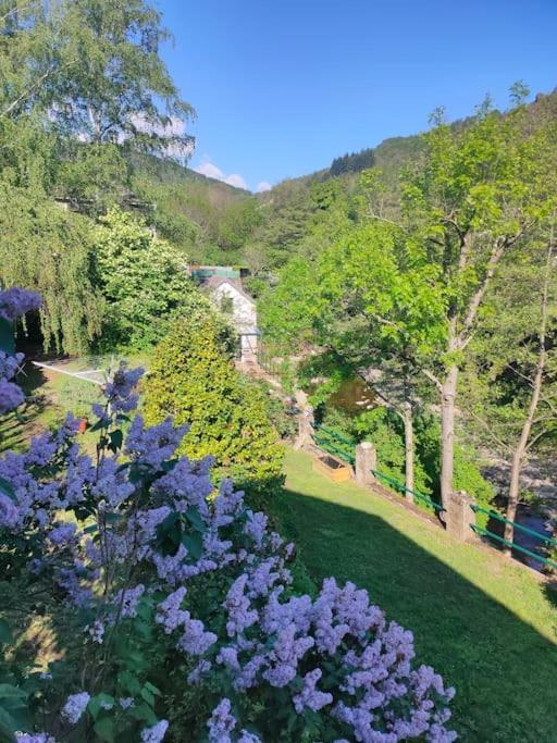 Le Secret Du Moulin, Agreable Tiny House Villefort Villefort  Exterior foto